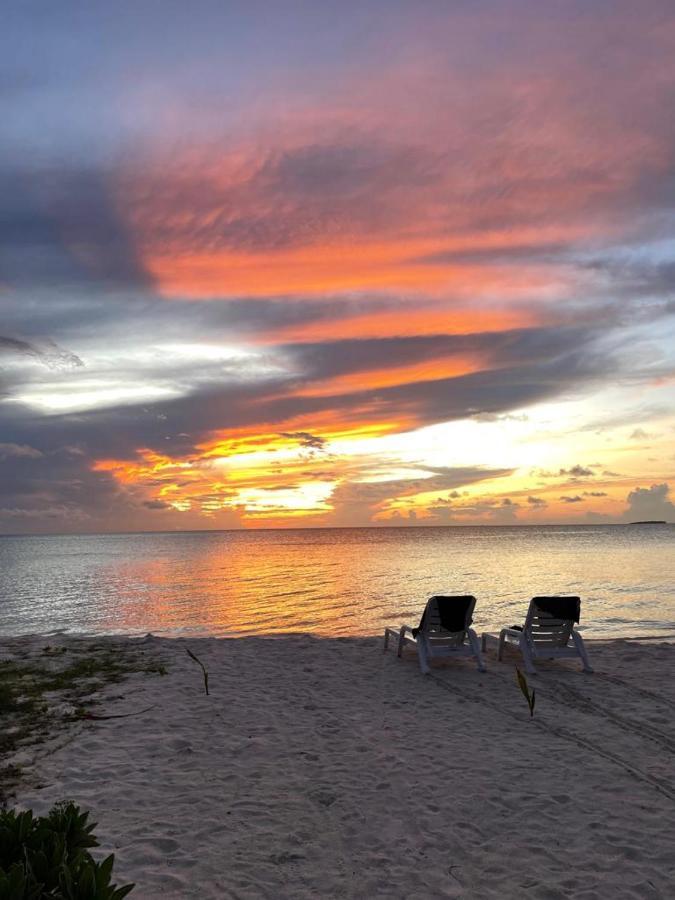 Beach House Dhiffushi Exterior photo